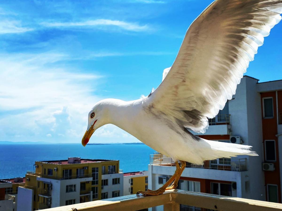 Sea View Panoramic Apartments, Fort Noks Crown Club Sveti Vlas Exteriér fotografie